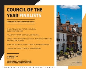 We're finalist for the Star Council Award!