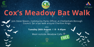 Cox's Meadow Bat Walk